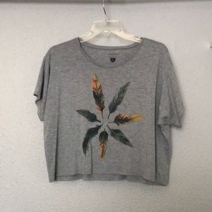 Grey Feather Crop Top